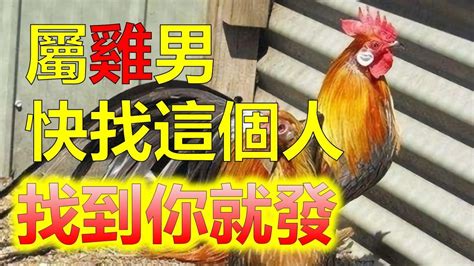 雞男雞女|屬雞女與不同生肖男的生肖配對